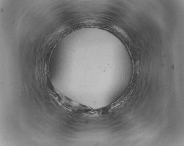 X0000071861111200607290150