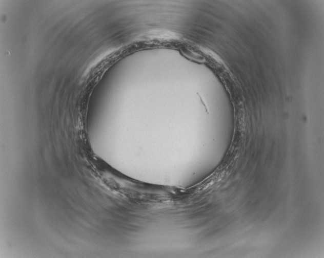 X0000071861112200607290150