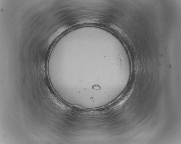 X0000071861113200607290150