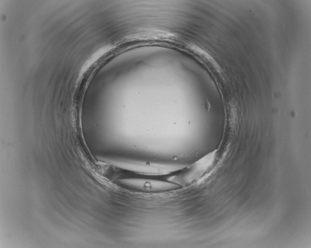 X0000071861114200607290150