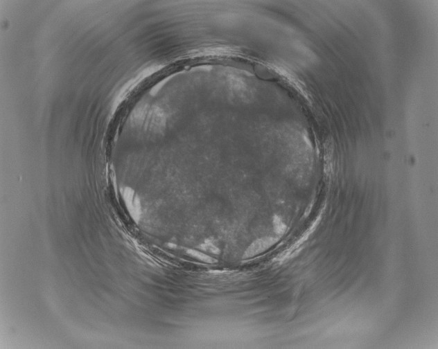 X0000071861117200607290150