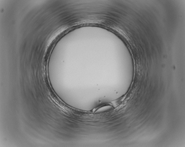 X0000071861119200607290150