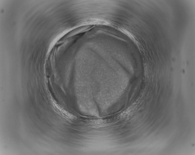 X0000071861120200607290150