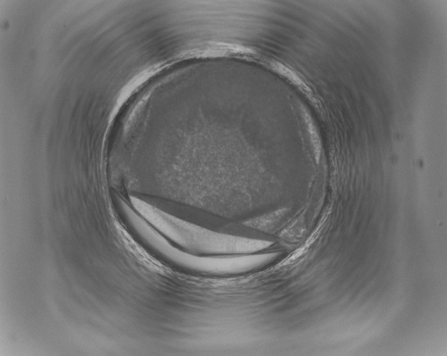 X0000071861122200607290150