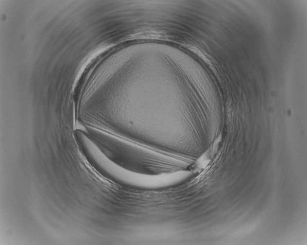 X0000071861123200607290150