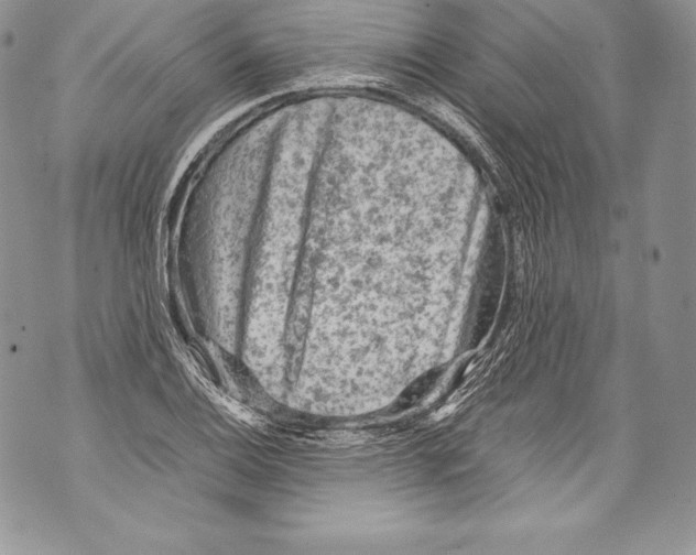 X0000071861124200607290150