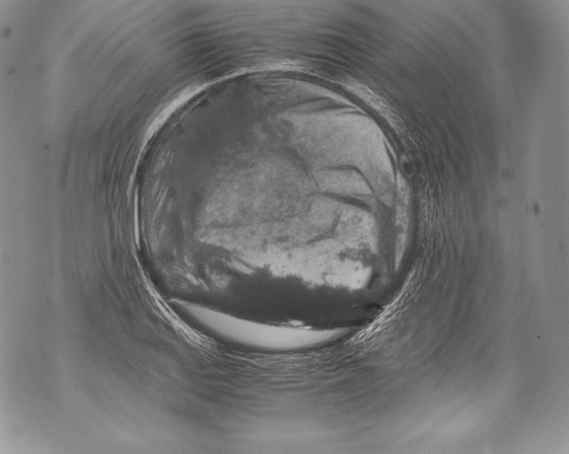 X0000071861127200607290150