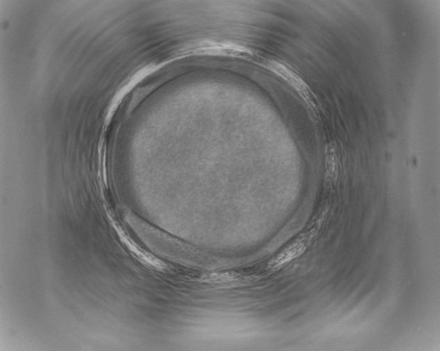 X0000071861128200607290150