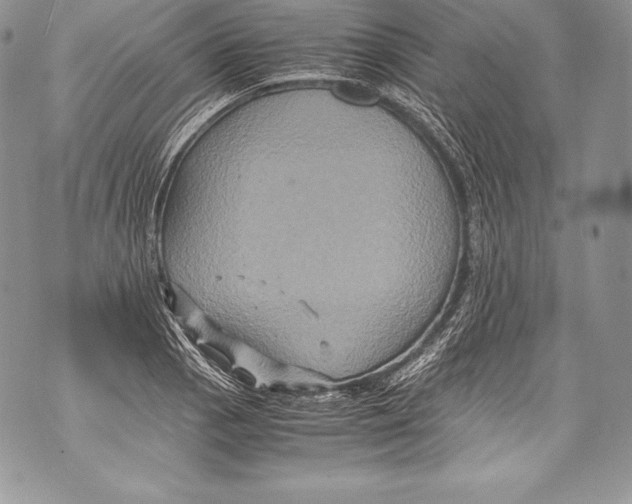 X0000071861129200607290150