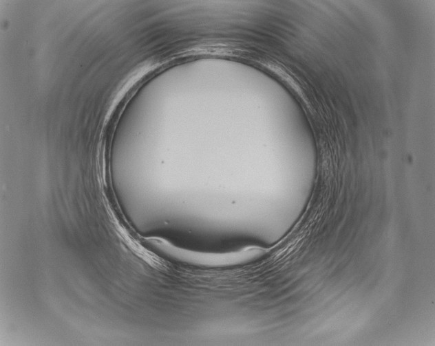 X0000071861131200607290151