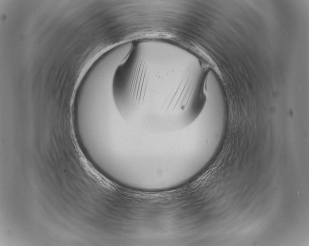 X0000071861132200607290151