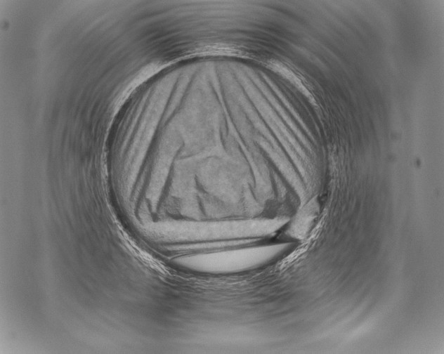 X0000071861133200607290151