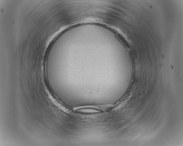 X0000071861134200607290151