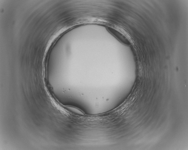 X0000071861136200607290151