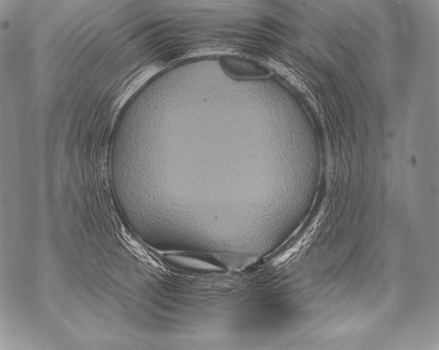 X0000071861137200607290151