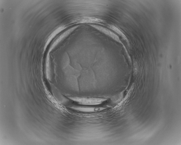 X0000071861138200607290151