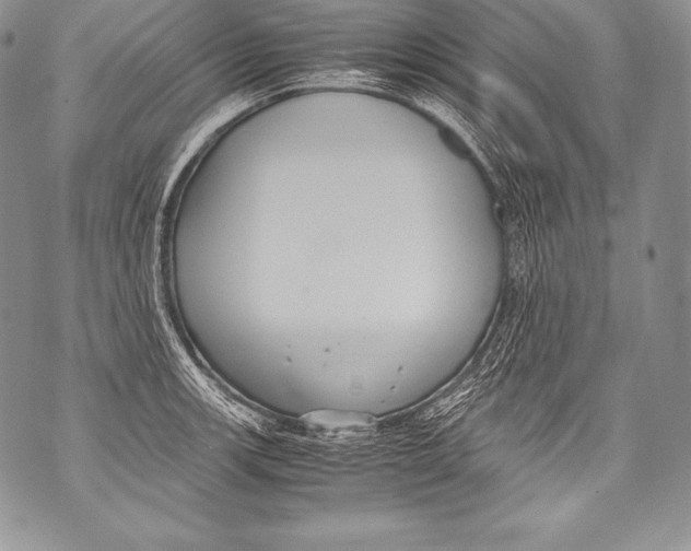 X0000071861139200607290151