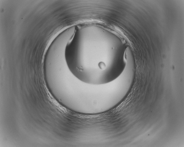 X0000071861140200607290151