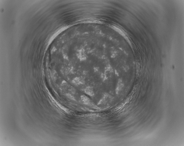 X0000071861141200607290151