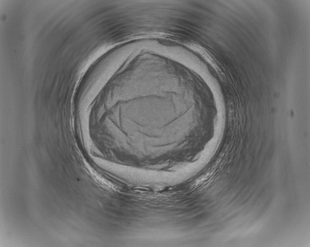 X0000071861143200607290151