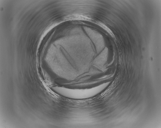 X0000071861144200607290151