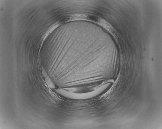 X0000071861145200607290151