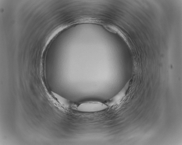 X0000071861147200607290151