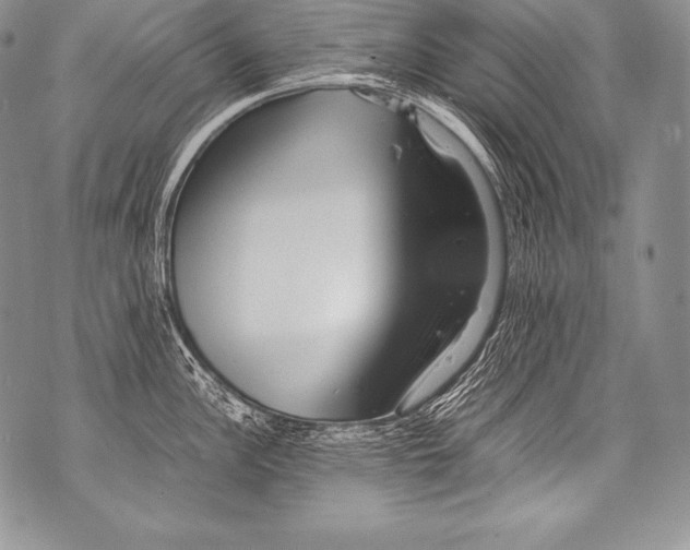 X0000071861148200607290151