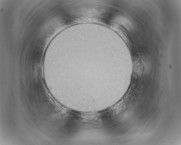 X0000071861150200607290151