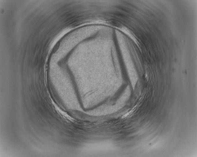 X0000071861151200607290151