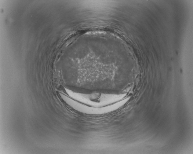 X0000071861153200607290150