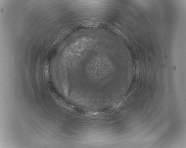 X0000071861154200607290150