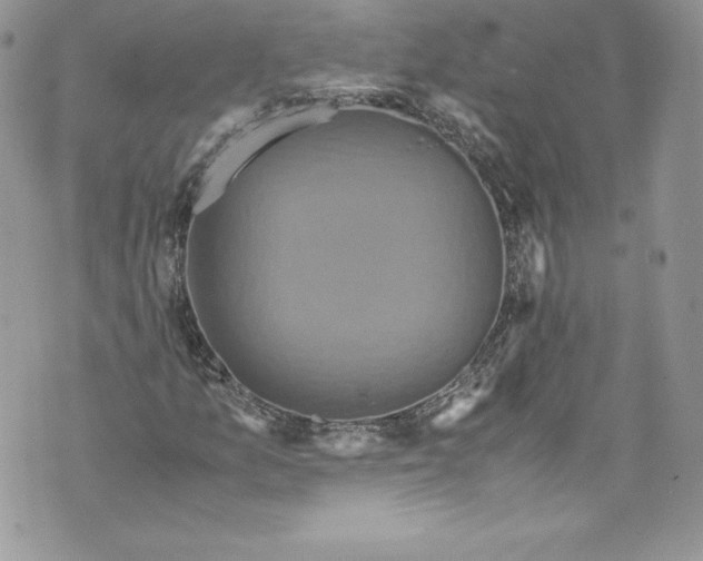 X0000071861157200607290150