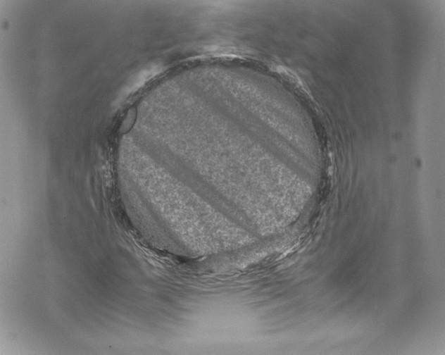 X0000071861159200607290150