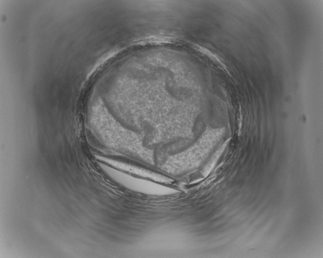 X0000071861160200607290150