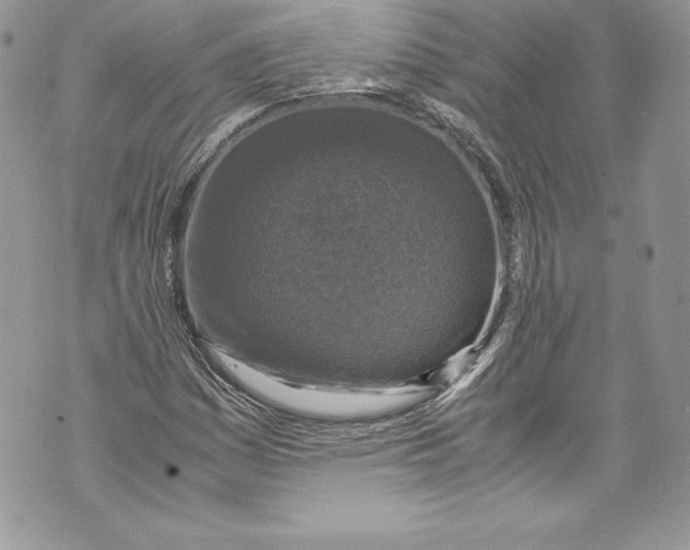 X0000071861161200607290150