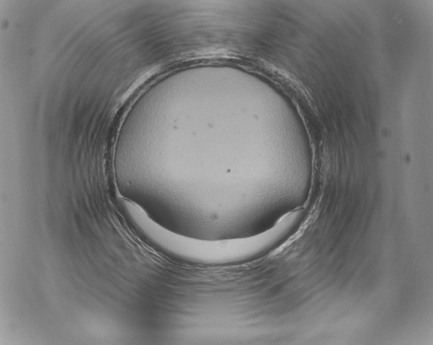 X0000071861162200607290150