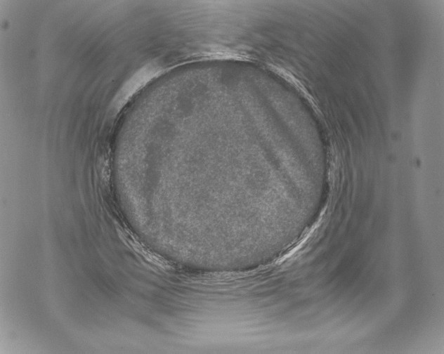 X0000071861163200607290150