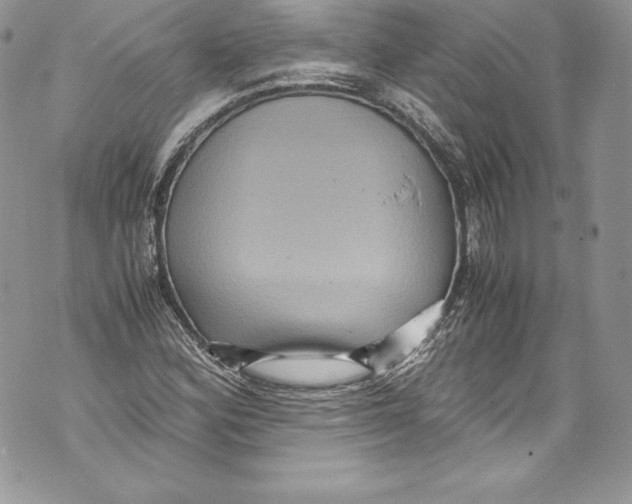 X0000071861164200607290150