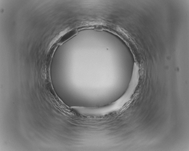 X0000071861165200607290150