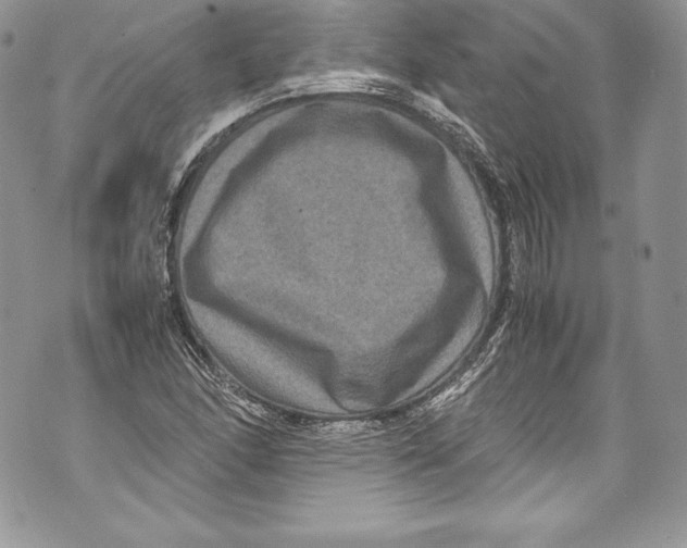 X0000071861166200607290150