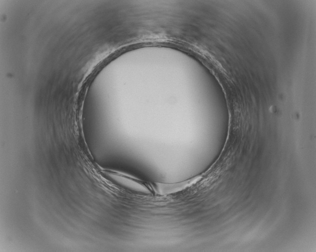 X0000071861168200607290150