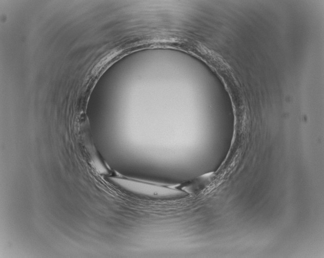 X0000071861169200607290150