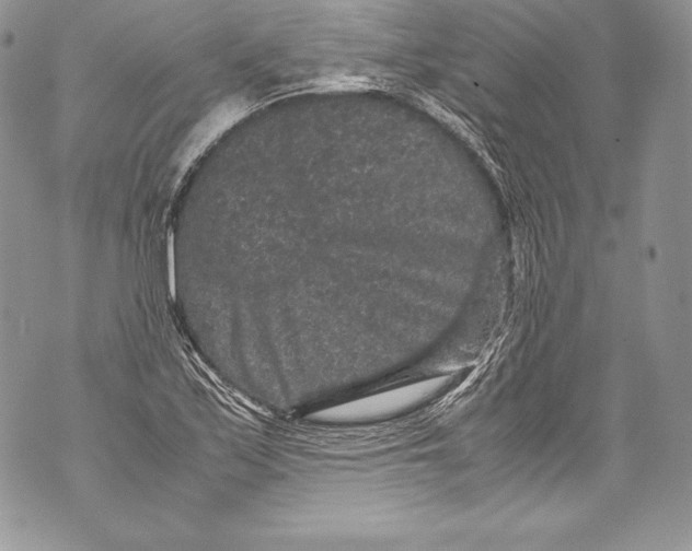 X0000071861171200607290150