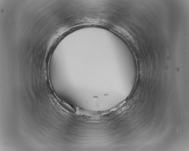 X0000071861172200607290150