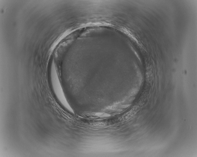 X0000071861173200607290150