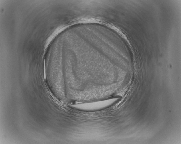 X0000071861175200607290150