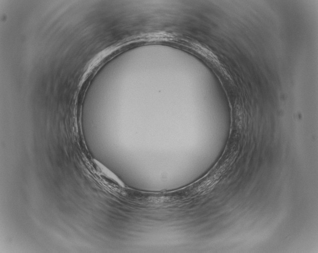 X0000071861176200607290150