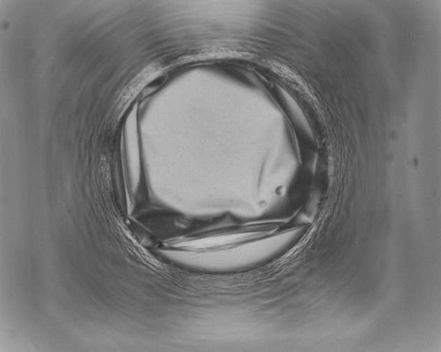 X0000071861177200607290150