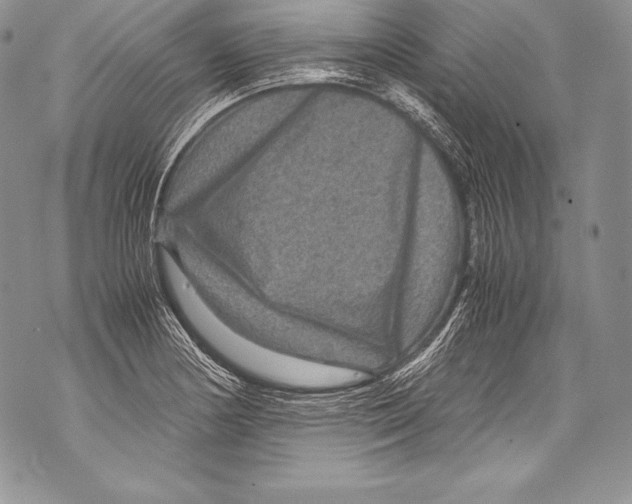 X0000071861178200607290150